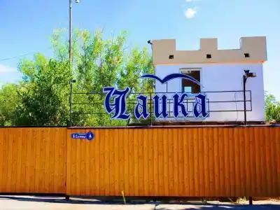 Чайка - 0