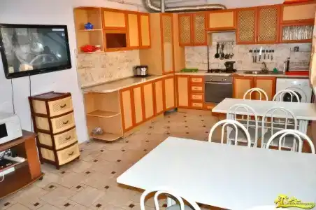 Лиза - 4