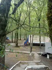 Золотое руно - 21
