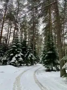 Тихое место - 6