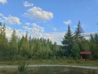 Ясная поляна - 24