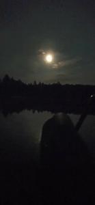 Троллейбусник - 28