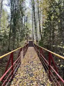 Ветлуга - 13