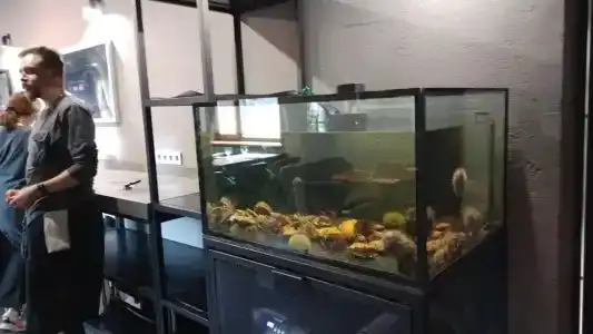 Teriberka by Eco Home - 50