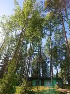 SMART на Горе - 13