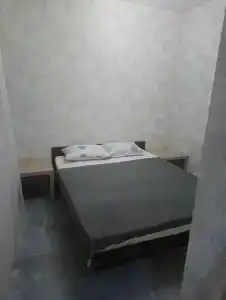 Диана - 1