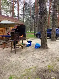 Чайка - 33