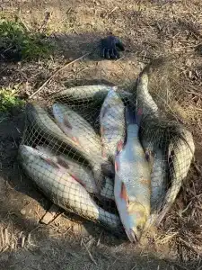 Флотраскат - 24