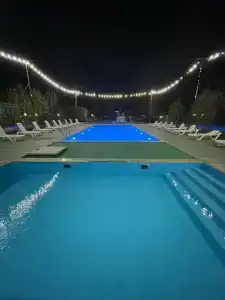 Феникс - 0