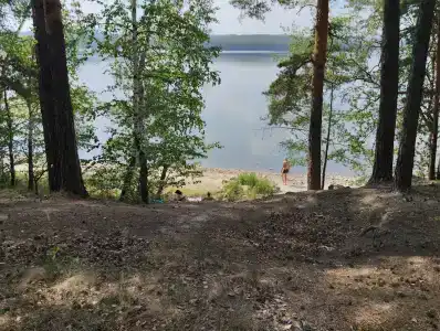 Лесная - 10