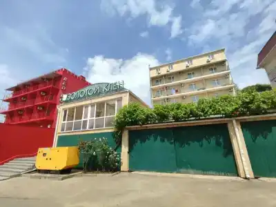 Золотой клён - 16