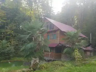 Лебедево озеро - 2