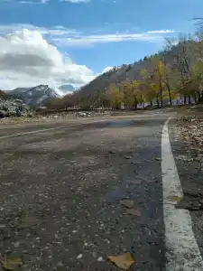 Для друзей - 47