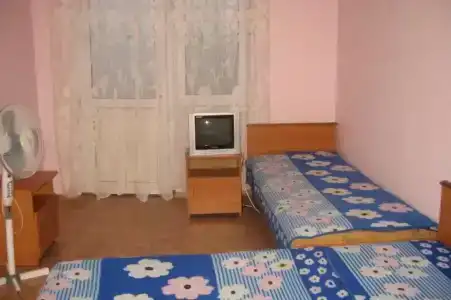 Эльвира - 5