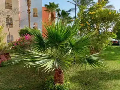 Arabella Azur Resort - 52