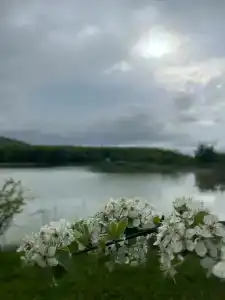Скелепарк - 32