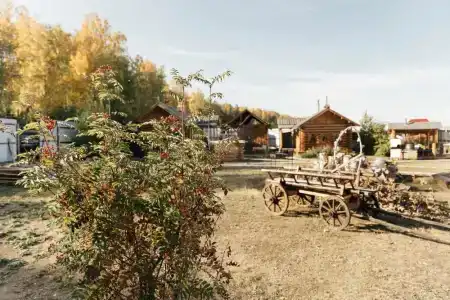 Солонь - 3