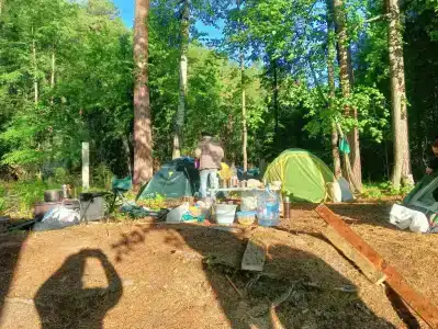 Золотые пески - 31