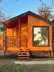 Амбассадор - 1