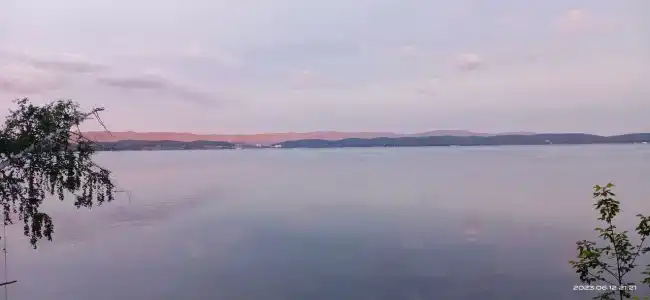 Зеленый бор - 2