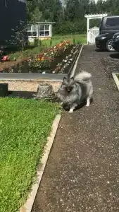 Глэмпинг  Прованс - 47