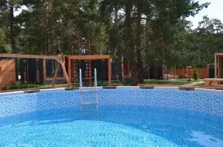 Лес ДО небес - 3