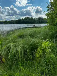 Хутор Верхутино - 31