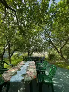 КартошКино - 46