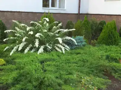 Целебные воды - 56