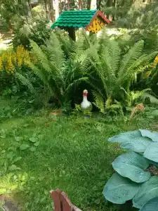 Кристалл - 60