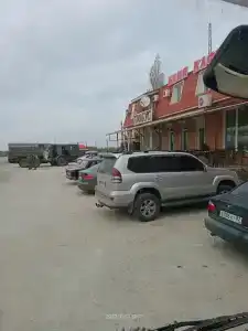 Глобус - 11