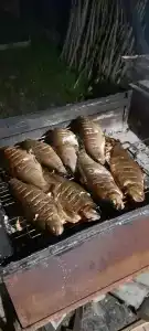 Приют у реки - 22