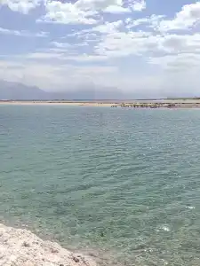 Vert Dead Sea - 2