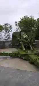 Феникс - 5