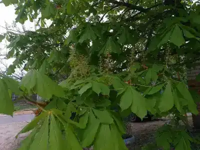 Гостевой дом на Ивановой 5 - 4