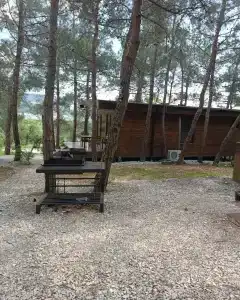 Тотем - 8