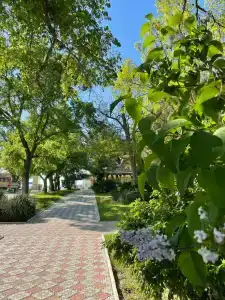 Евпаторийский детский клинический санаторий - 58