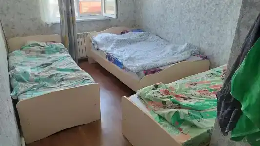 Дикая Вишня - 23