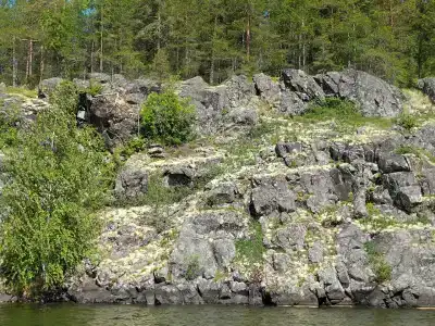 Робинзон - 33