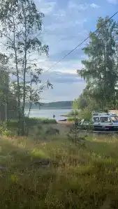 Колокольцево - 37