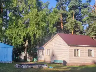 Ока - 25