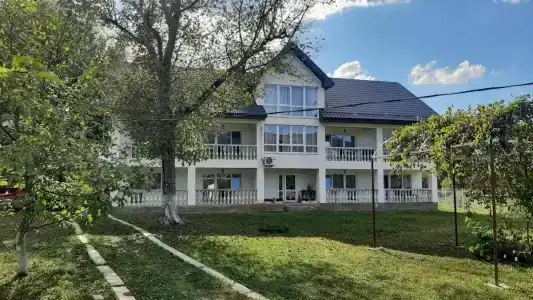 Ореховая роща - 0