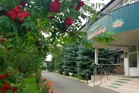 Рябинушка - 95
