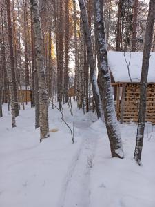 Уросъярви - 51