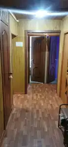 Дубровский - 17