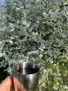 Фазенда - 47