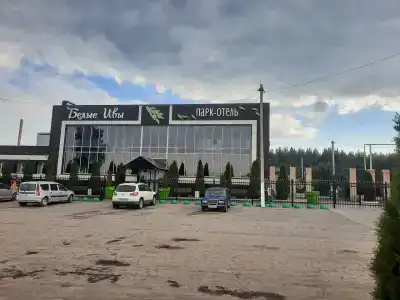 Белые Ивы - 19