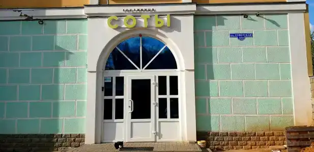 Соты - 1