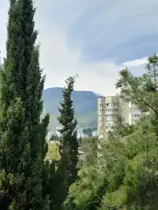 Магнолия - 28