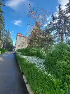 Санаторий им. С.М. Кирова - 34